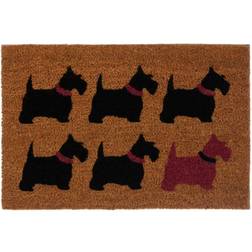 Premier Housewares Natrual Coir Doormat