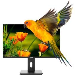 Nilox NXM24REG02 24 Full HD Skærm 75Hz