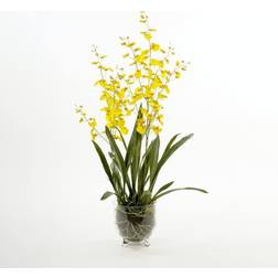 Mr Plant Oncidium Konstväxt 110 Vas