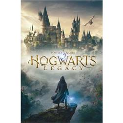 Harry Potter Hogwarts Legacy Plakat