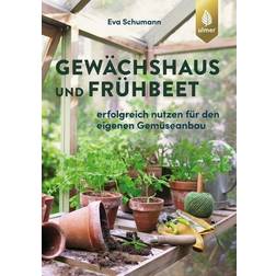Gewächshaus Frühbeet