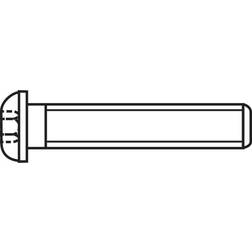 Toolcraft 839802 Linseskruer M4 20