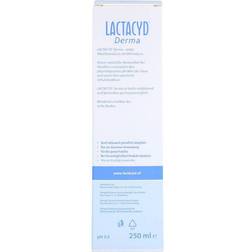 LACTACYD Derma Waschsyndet 250ml