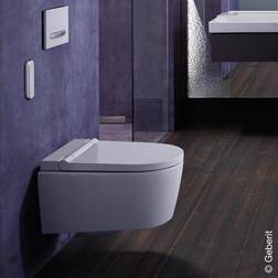 Geberit AquaClean Sela Wand-Dusch-WC Komplettanlage, mit WC-Sitz, 146220111