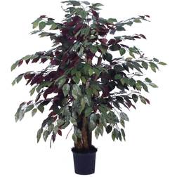 Vickerman 4' Artificial Capensia Extra Full, Comes In A Black Insertable Pot