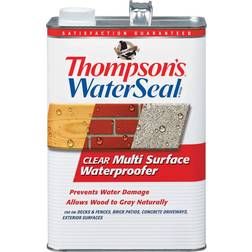 WaterSeal Multi-Surface Waterproofer Clear Black