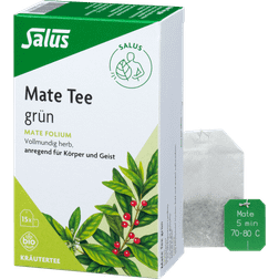 Salus Floradix Maté 15 Sachets