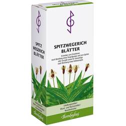 SpitzwegerichblÃ¤tter Tee