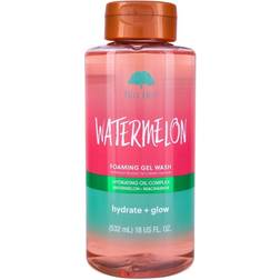 Tree Hut Foaming Gel Wash Watermelon 18fl oz