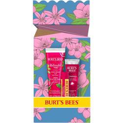 Burt's Bees Burt's Bees You're One a Melon Gift Set with Watermelon Lip Balm, Tinted Lip Balm