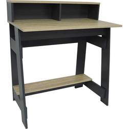 Watsons on the Web Techstyle Office With Two Writing Desk