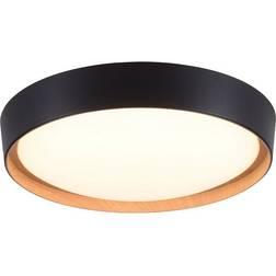 Paul Neuhaus Leuchten Direkt 1434718-LED Dimmable Takplafond