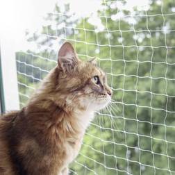 Kerbl 82654 Kattskyddsnät 4 x 3 m Transparent