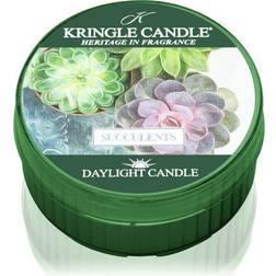 Kringle Candle Daylight Succulents Duftlys