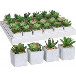 Mica Decorations Planta Decorativa 8 x 5 cm Verde PVC Suculenta