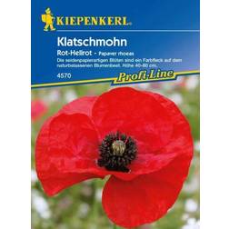 Kiepenkerl Klatschmohn Rot-Hellrot Papaver rhoeas, Inhalt: