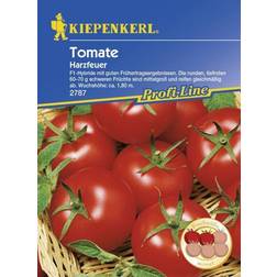 Kiepenkerl Tomate Harzfeuer Solanum lycopersicum, Inhalt: