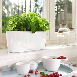 Lechuza Jardinière Delta 10 All-in-One Blanc Brillant 30 cm