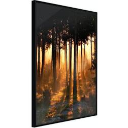 Artgeist Affisch Honey Forest 30x45 Poster