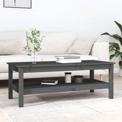 vidaXL Table d'Appoint Rangement 110 x 50 x 40 cm Table Basse