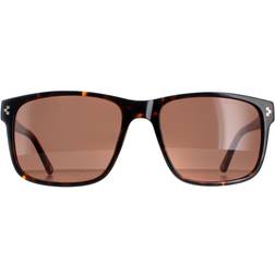 Duck and Cover and Cover DCS025 C2 Havana