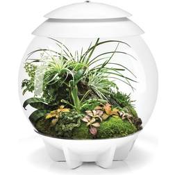 Biorb AIR 30
