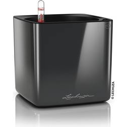 Lechuza CUBE Glossy Krukke