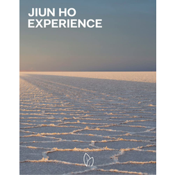 Jiun Ho: Experience