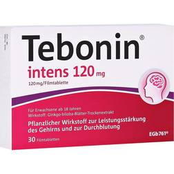 Tebonin intens 120 mg Filmtabletten