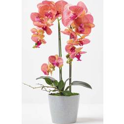 Homescapes Coral Orchid Artificial Plant