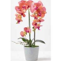 Homescapes Coral Orchid Plante Artificielle