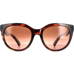 Serengeti Cat Eye Shiny Dark Tortoise Brown Drivers Polarized