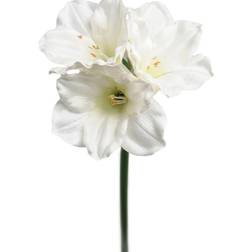 Mr Plant Amaryllis stilk, 65cm hvid Kunstig plante