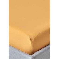 Homescapes Egyptian Thread Bed Sheet Yellow