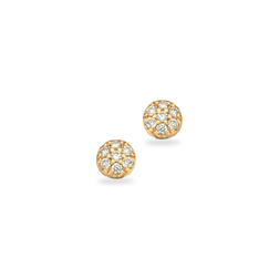 Scrouples Karat Guld Örhängen Med Diamanter 0,07 Carat W/si 121885