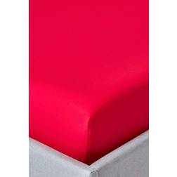 Homescapes Egyptian Cotton Fitted 200 Bed Sheet Red