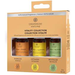 Chesapeake Bay Candle Chesapeake Bay Diffuser Olie Vitality Bestilt forventet på lager 21-04-2023