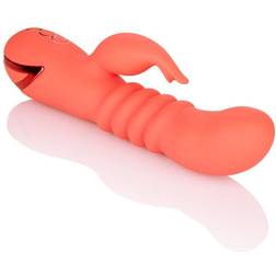 CalExotics Orange County Cutie Thrusting Rabbit Vibe