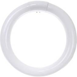 Sunlite SU05010 Fluorescent Lamps 22W G10q