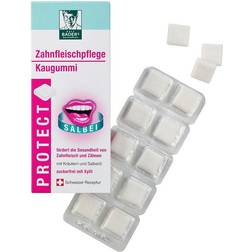 Protect Gum Zahnfleischpflege 20 St.