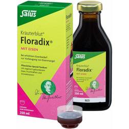 Floradix Eisen Lösung zum