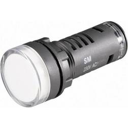Barthelme LED 58602413 24 V/DC 24 V/AC 1 pc