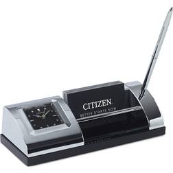 Citizen Executive