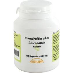 CHONDROITIN GLUCOSAMIN Kapseln 120 St.