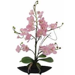 Europalms Orchid arrangement EVA, artificial, purple Kunstig plante