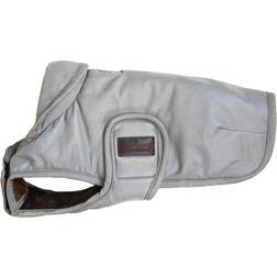 Kentucky Dogcoat Reflective Water Repellent 35