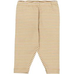 Wheat Leggings, Silas/Cappuccino stripe