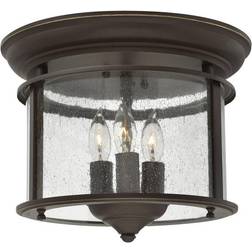Loops 3 Bulb Low Ceiling Flush Light