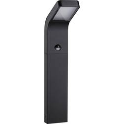 Paulmann 94747 Pollare