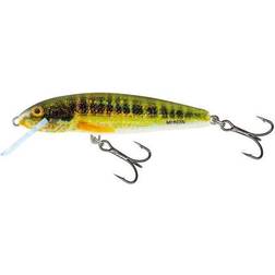 Salmo Minnow 70 Mm 6g Multicolor